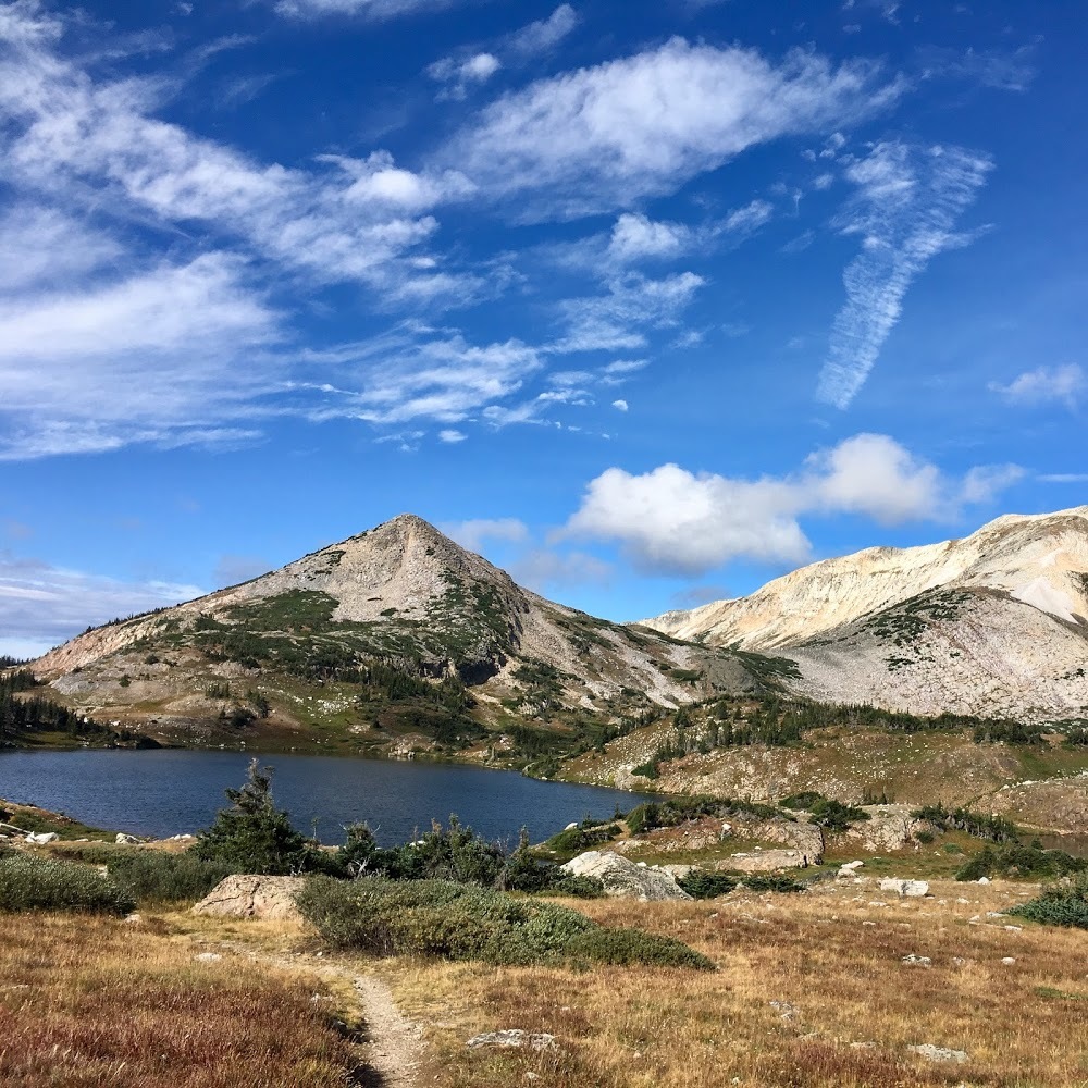 Meet your Posher, Camille